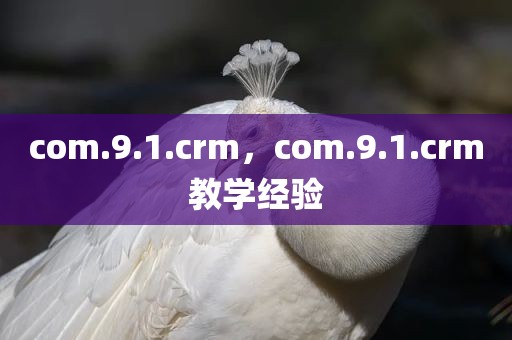 com.9.1.crm，com.9.1.crm教学经验