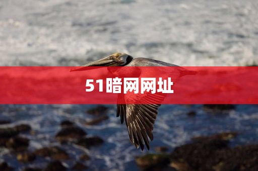 51暗网网址
