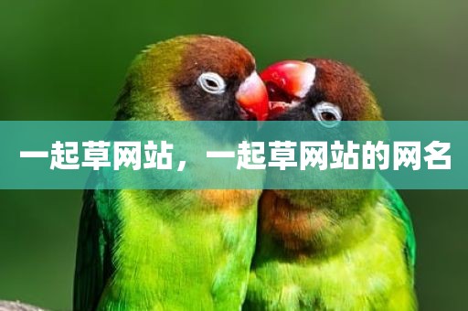 一起草网站，一起草网站的网名