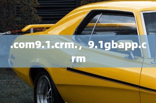.com9.1.crm.，9.1gbapp.crm
