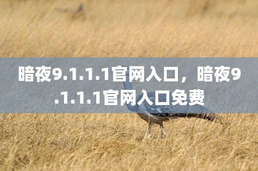 暗夜9.1.1.1官网入口，暗夜9.1.1.1官网入口免费