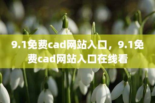 9.1免费cad网站入口，9.1免费cad网站入口在线看