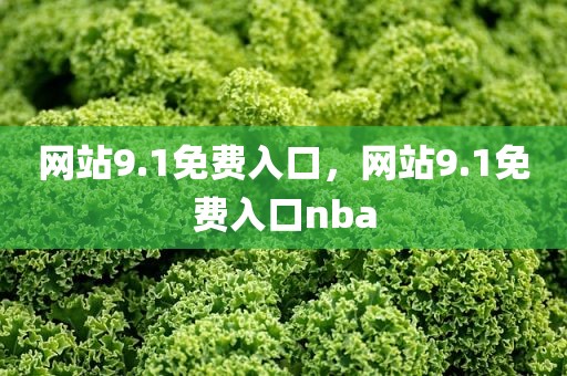 网站9.1免费入口，网站9.1免费入口nba