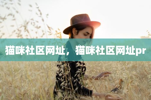 猫咪社区网址，猫咪社区网址pr