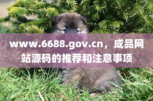 www.6688.gov.cn，成品网站源码的推荐和注意事项