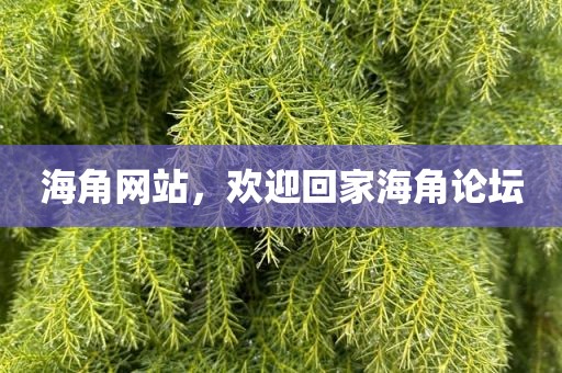 海角网站，欢迎回家海角论坛
