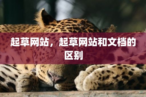 起草网站，起草网站和文档的区别