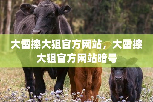 大雷擦大狙官方网站，大雷擦大狙官方网站暗号