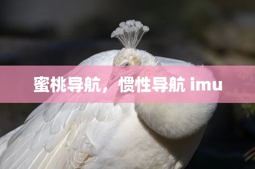 蜜桃导航，惯性导航 imu