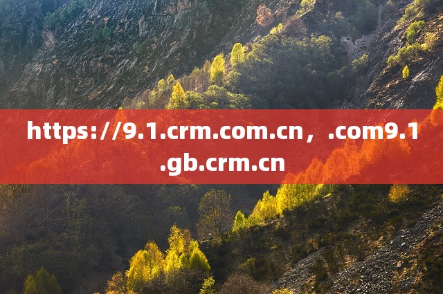 https://9.1.crm.com.cn，.com9.1.gb.crm.cn