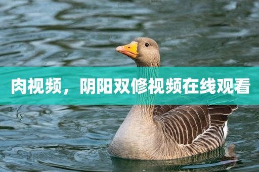 肉视频，阴阳双修视频在线观看