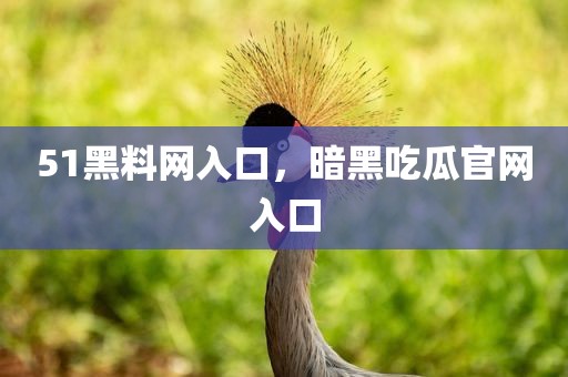 51黑料网入口，暗黑吃瓜官网入口
