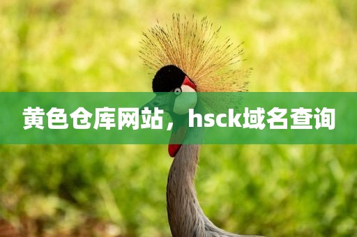 黄色仓库网站，hsck域名查询