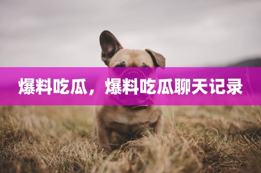 爆料吃瓜，爆料吃瓜聊天记录