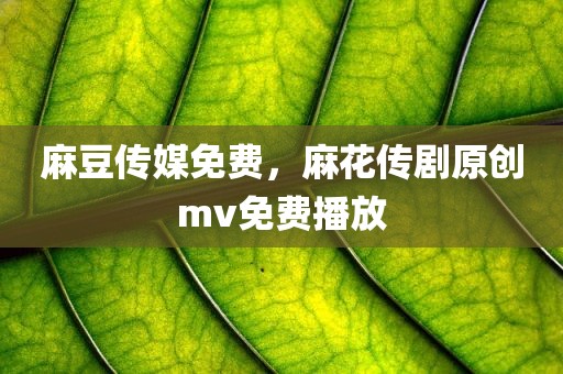 麻豆传媒免费，麻花传剧原创mv免费播放