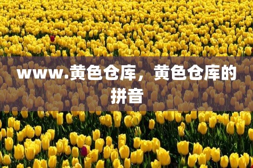 www.黄色仓库，黄色仓库的拼音