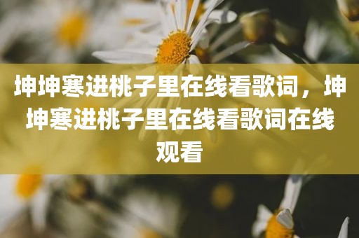 坤坤寒进桃子里在线看歌词，坤坤寒进桃子里在线看歌词在线观看