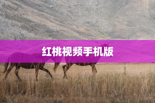 红桃视频手机版