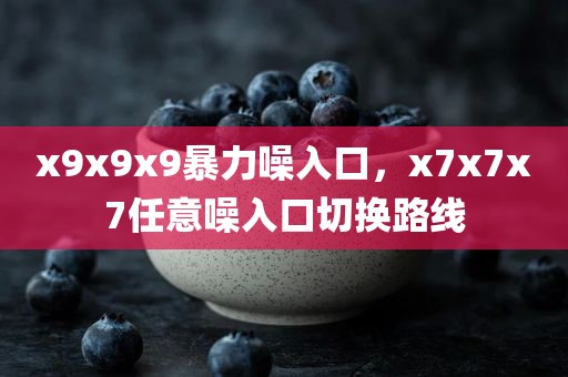 x9x9x9暴力噪入口，x7x7x7任意噪入口切换路线
