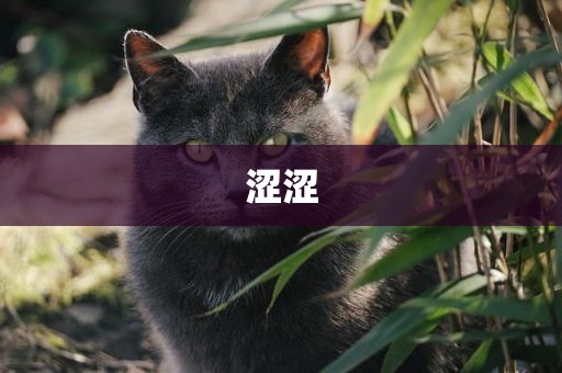 涩涩