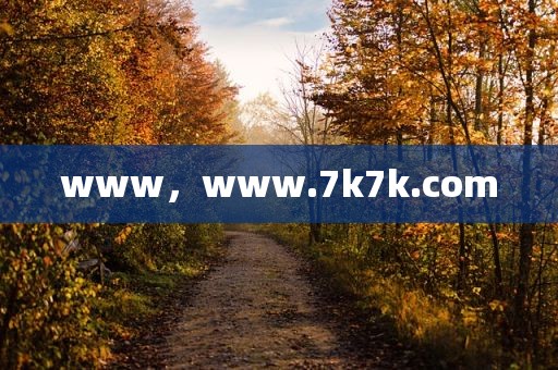www，www.7k7k.com