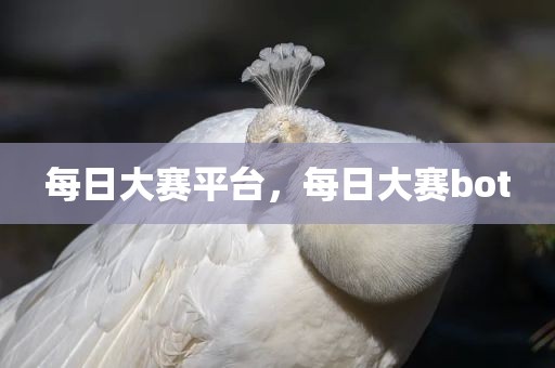 每日大赛平台，每日大赛bot