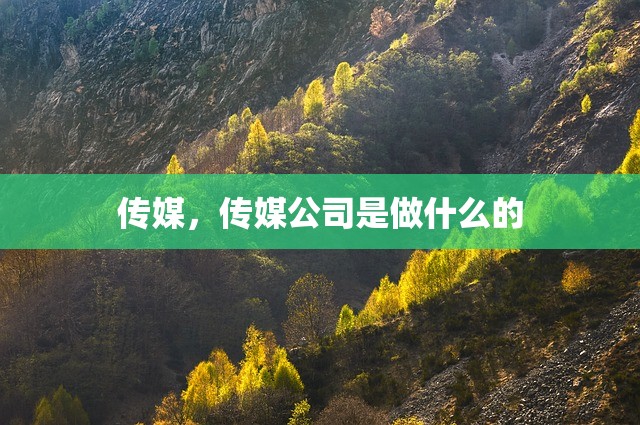 传媒，传媒公司是做什么的