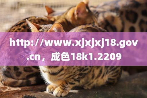 http://www.xjxjxj18.gov.cn，成色18k1.2209