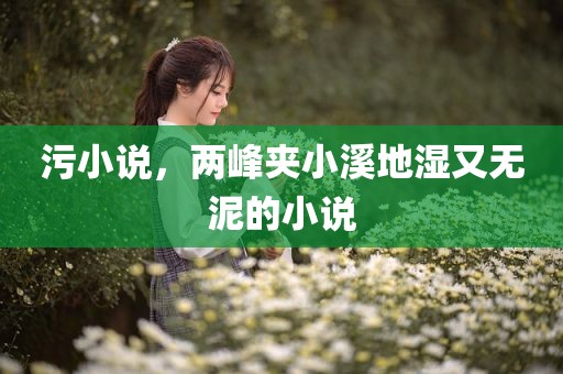 污小说，两峰夹小溪地湿又无泥的小说