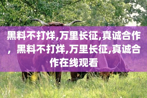 黑料不打烊,万里长征,真诚合作，黑料不打烊,万里长征,真诚合作在线观看