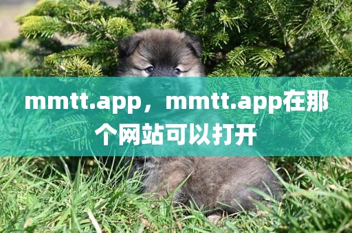 mmtt.app，mmtt.app在那个网站可以打开