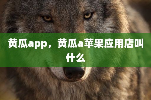 黄瓜app，黄瓜a苹果应用店叫什么