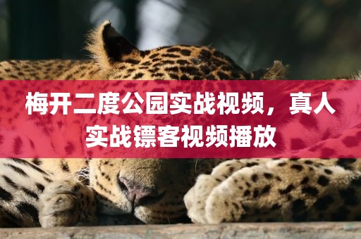 梅开二度公园实战视频，真人实战镖客视频播放