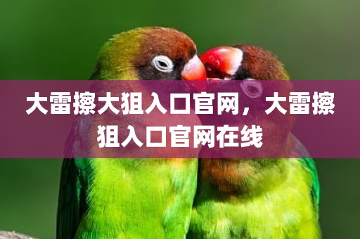 大雷擦大狙入口官网，大雷擦狙入口官网在线