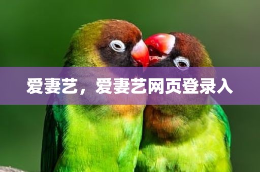 爱妻艺，爱妻艺网页登录入