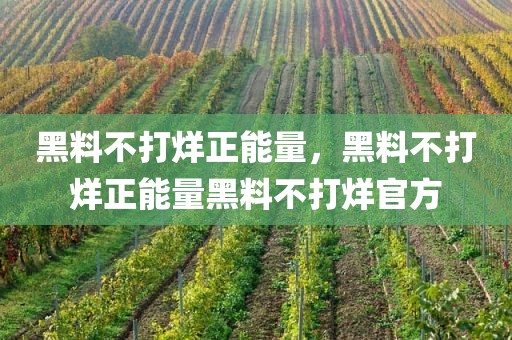 黑料不打烊正能量，黑料不打烊正能量黑料不打烊官方