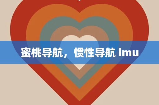 蜜桃导航，惯性导航 imu