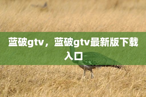 蓝破gtv，蓝破gtv最新版下载入口