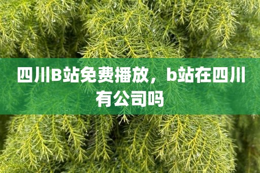 四川B站免费播放，b站在四川有公司吗