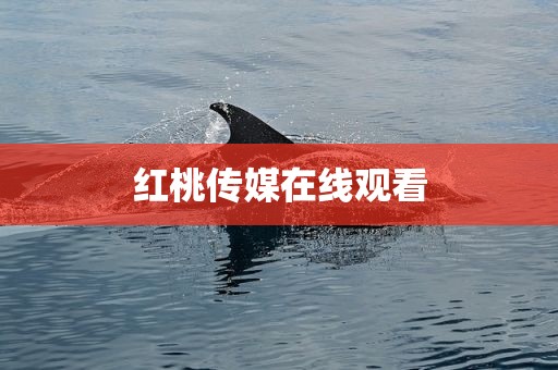 红桃传媒在线观看