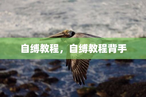 自缚教程，自缚教程背手