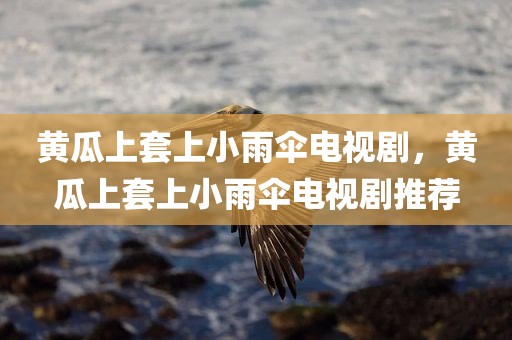 黄瓜上套上小雨伞电视剧，黄瓜上套上小雨伞电视剧推荐