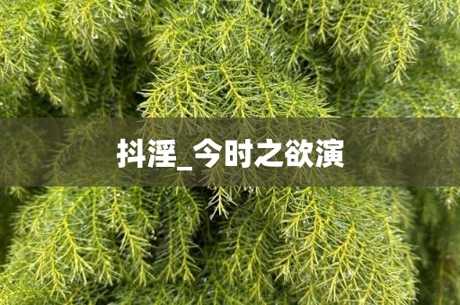 抖淫_今时之欲演