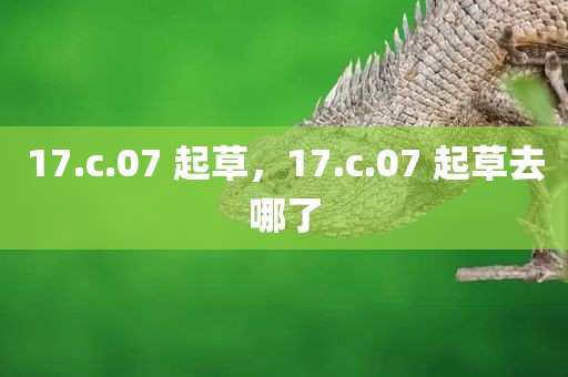 17.c.07 起草，17.c.07 起草去哪了