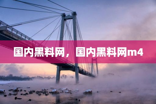 国内黑料网，国内黑料网m4