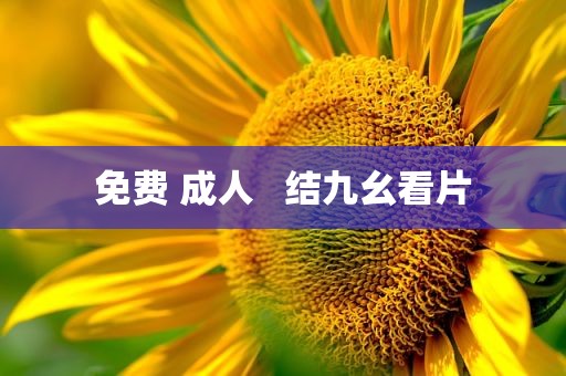 免费 成人   结九幺看片