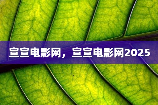 宣宣电影网，宣宣电影网2025
