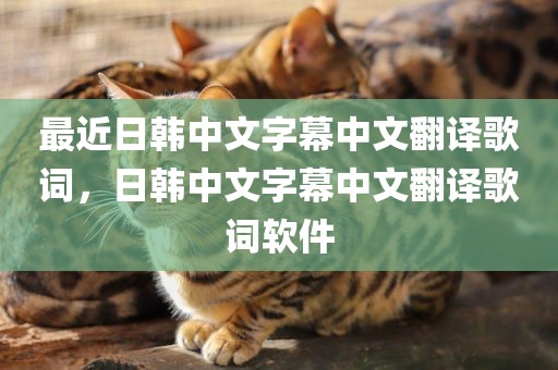 最近日韩中文字幕中文翻译歌词，日韩中文字幕中文翻译歌词软件