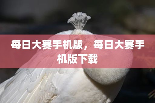 每日大赛手机版，每日大赛手机版下载