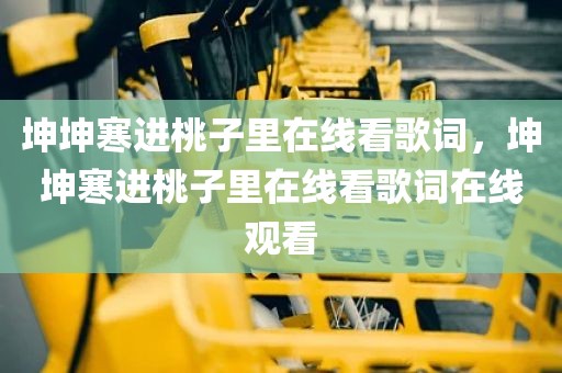 坤坤寒进桃子里在线看歌词，坤坤寒进桃子里在线看歌词在线观看